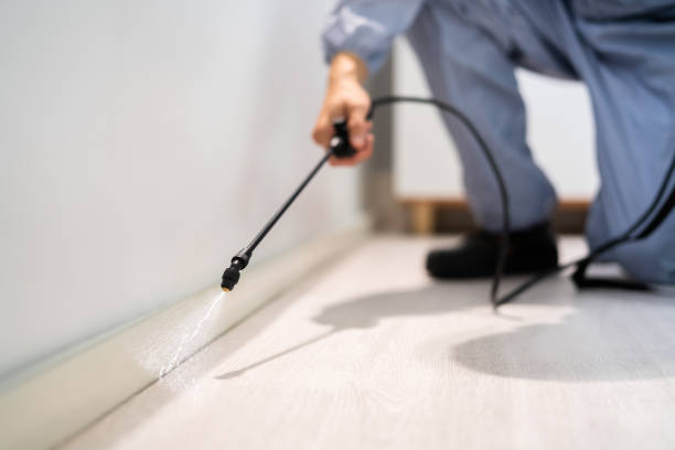 Licensed Termite Control service in Boston, GA - Nex Pest Control