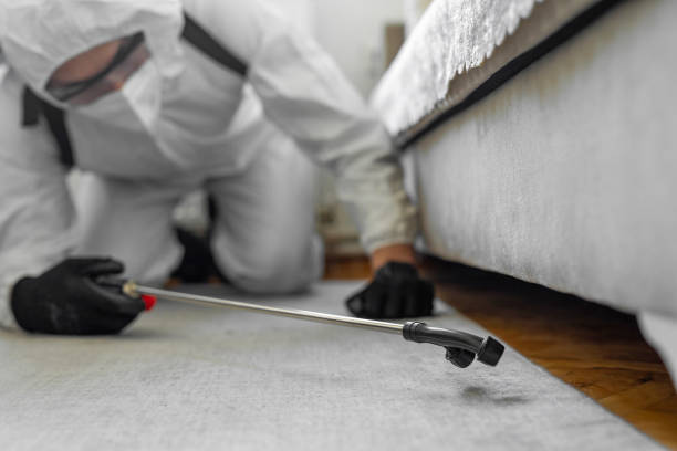 Professional Termite Control technician working in Boston, GA